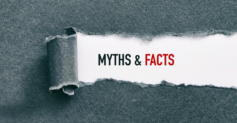 fakty i mity